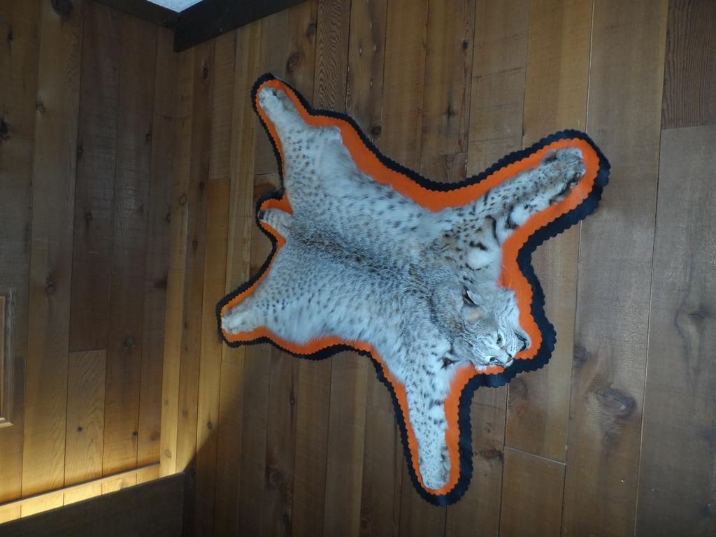 Bear Lodge Motel Sundance Ngoại thất bức ảnh
