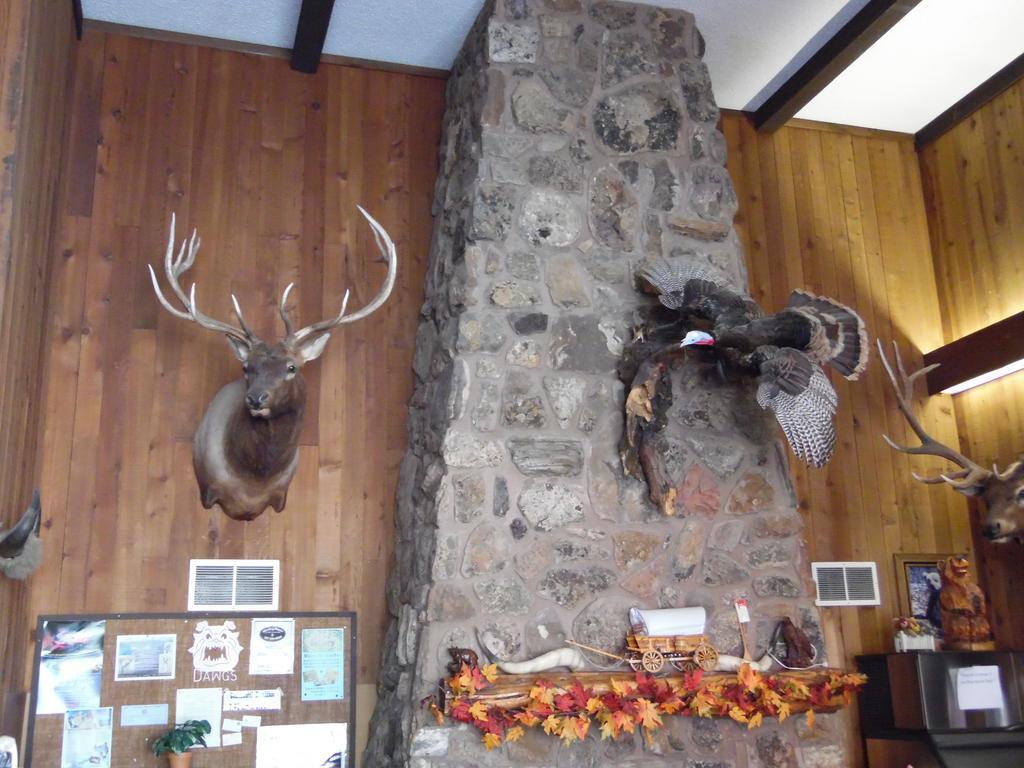 Bear Lodge Motel Sundance Ngoại thất bức ảnh