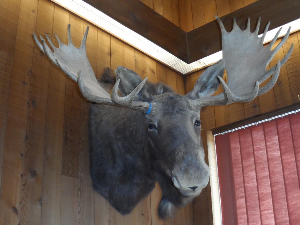 Bear Lodge Motel Sundance Ngoại thất bức ảnh