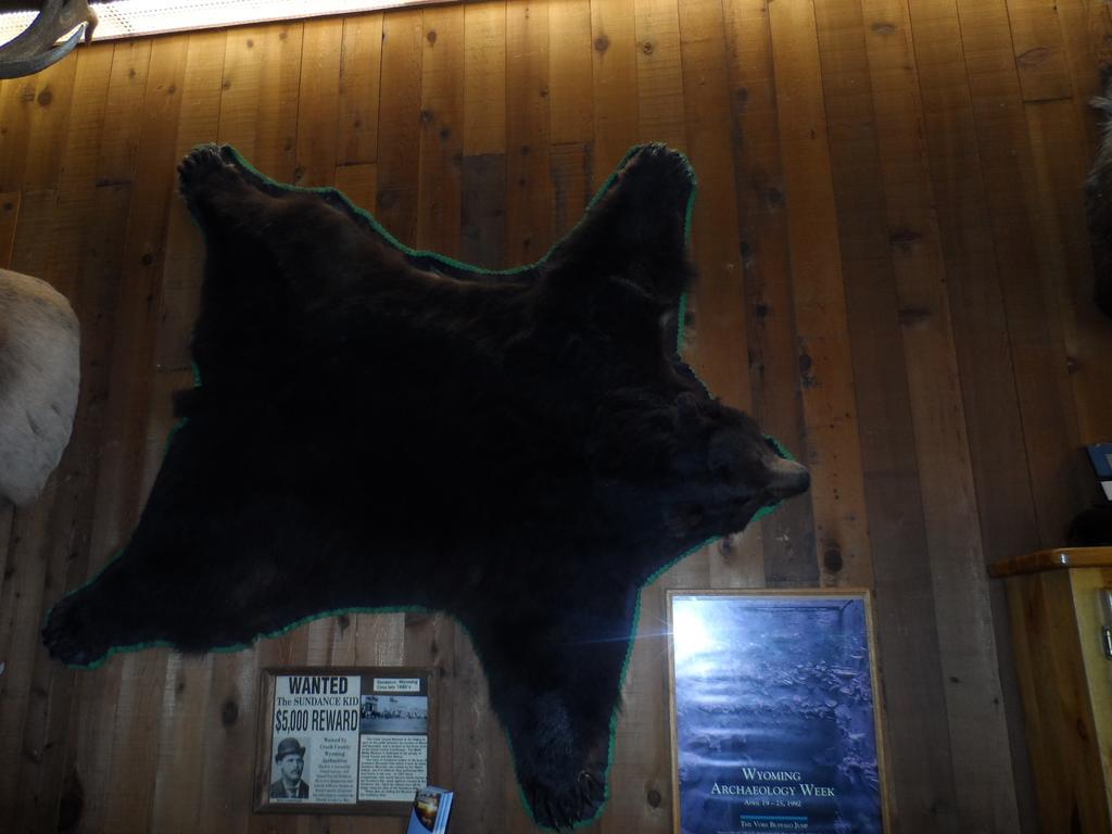 Bear Lodge Motel Sundance Ngoại thất bức ảnh